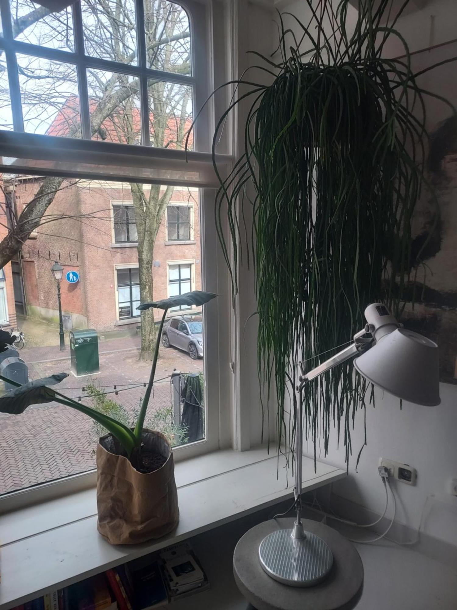 Volledige Bovenwoning Binnenstad Leeuwarden Buitenkant foto